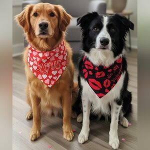 Peutier NWOT 2pc Red & Black Valentine's Day Themed Dog Bandana Set- One Size